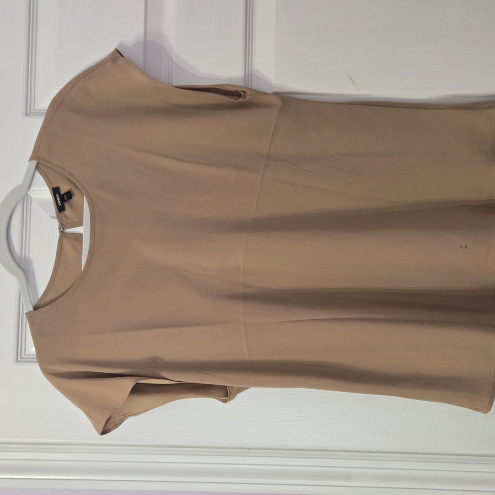 Express Tan Blouse
